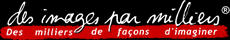 logo_dipm_blanc_fondnoir